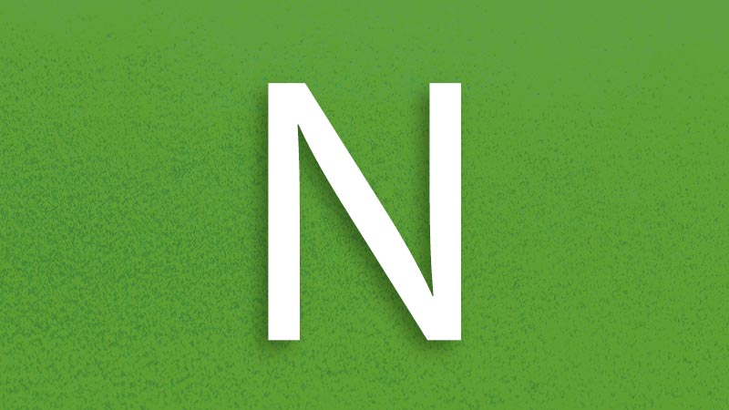 The Letter N