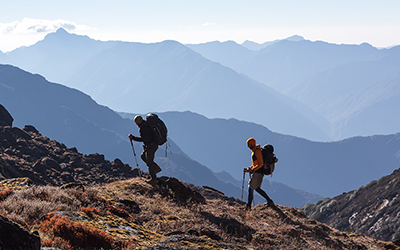 Wilderness Medical Society